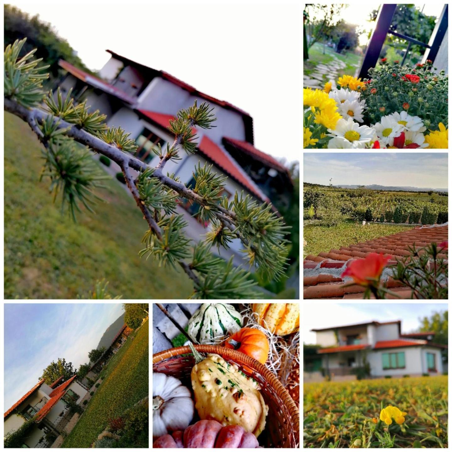 Къща За Гости Сърцето На Долината /The Heart Of The Valley Enina Exterior photo